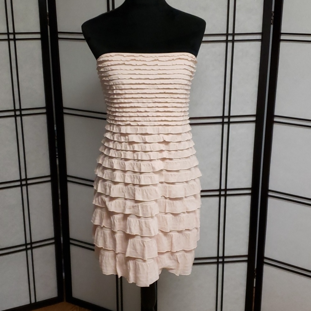 Express Strapless Dress